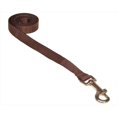 thumbnail image 1 of 4 ft. Nylon Webbing Dog Leash, Brown - Extra Small, 1 of 1