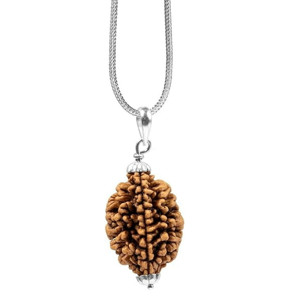 2 Mukhi Nepali Rudrkasha 925 Silver Pendant Certified For Men And Women