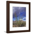 thumbnail image 1 of Flowering Ocotillo with Saguaro, Organ Pipe Cactus National Monument, Arizona, USA, Botanical Scenic Framed Art Print Wall Art by Jamie  Judy Wild Sold by Art.Com, 1 of 1