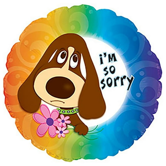 LOONBALLOON Sentiments Balloons, 17″ I'M SO SORRY