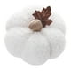thumbnail image 3 of Calabaza artificial decorativa de cosecha realista para Halloween Blanco, 3 of 9
