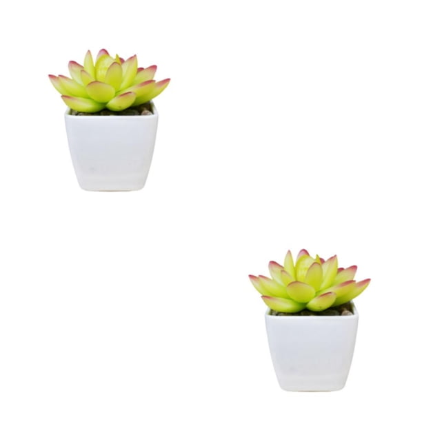 Advancent Simulación de suculentas, Mini maceta para bonsái, flores falsas, maceta decorativa para el hogar, , jardín, boda, sala de estar, tipo3 2Conjunto