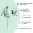 thumbnail image 4 of Detangle Hair Brush for Women & Men - Does not Pull - Straightening Brushes for Straight & Curly Hair - Unique Spiral Detangling Hairbrush - Green, 4 of 4
