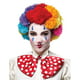 Morris Costumes MR179558 Pom Clown Arc-en-Ciel Perruque Costume – image 1 sur 1