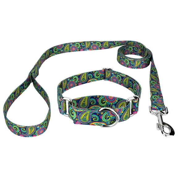 Country Brook Petz® Bright Paisley Martingale Dog Collar and Leash, Large