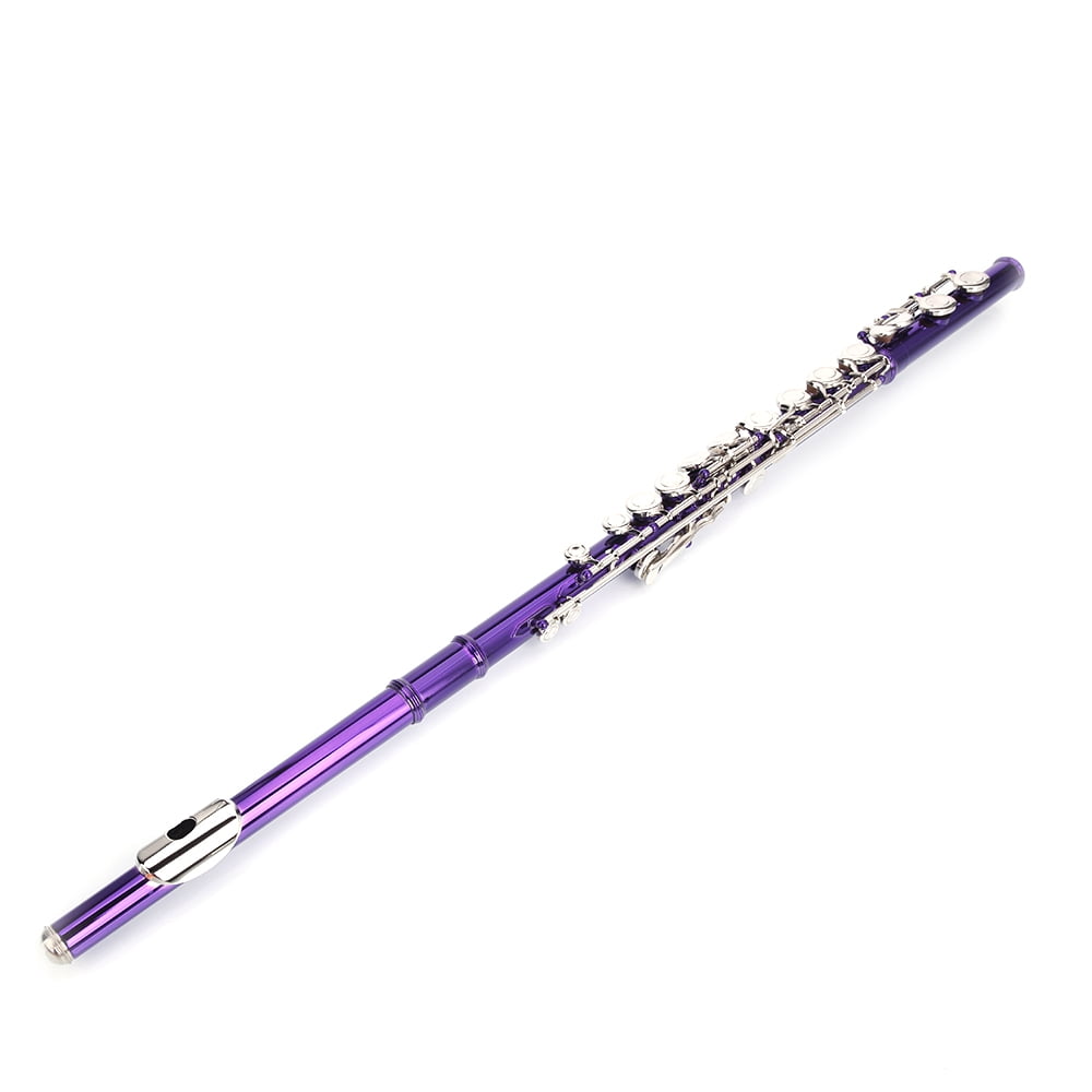 Cupronickel C 16 Closed Holes Concert Band Flute Purple