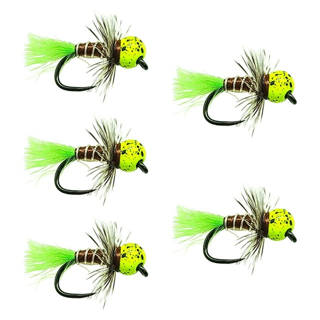 koolsoo 5 Pcs Tête de Jig Tungstène Mouches Réalistes pour Bar Truite Brochet Jaune