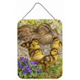 thumbnail image 1 of Impressions Murales et de Porte de Canard Colvert Féminin et Ducklings, 1 of 1
