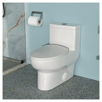 Ceramic One Piece Toilet,Dual Flush with Soft Clsoing Seat