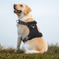 thumbnail image 7 of Jewyow No Pull Dog Harness, Adjustable Dog Vest with Soft Padding, Heavy Duty Dog Harness for Small, Medium, Large Dogs(Black,XL), 7 of 7
