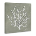 thumbnail image 3 of Stupell Industries Transitional White Coral Impression Canvas Art, 17 x 17, by Nola James, 3 of 8