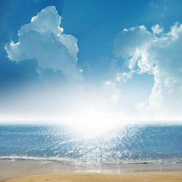 Relaxation Wall Mural by Wallmonkeys Peel and Stick Graphic (18 in