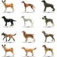 thumbnail image 5 of StarGo Small Plastic Puppy Dog Figurines - Set of 12 Realistic Breeds for Kids, Educational Play, Ages 3+, 5 of 7