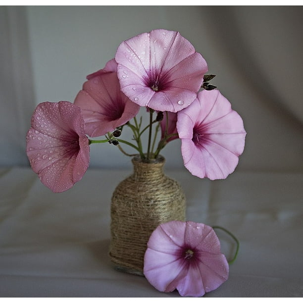 Flower Wild Flowers Still Life Spring Color Beauty 12 Inch By 18 Inch Laminated Poster With Bright Colors And Vivid Imagery Fits Perfectly In Many Attractive Frames Walmart Com Walmart Com