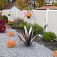 thumbnail image 3 of Xihbxyly Artículos En Exceso Liquidación Todo Adorno para Jardín con Plantas y Artesanías de Hierro de Tequila., 3 of 3