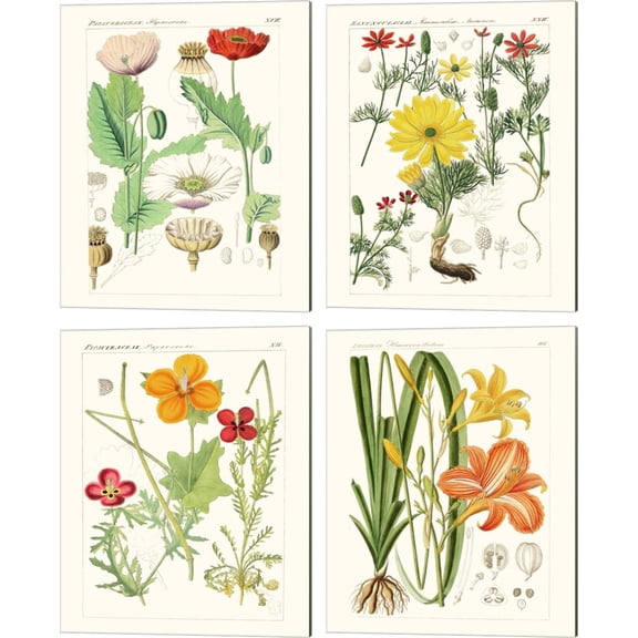 Great Art Now Bright Botanicals by 4 Piece Canvas Art Set Each 12W x 15H