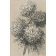 thumbnail image 3 of Claude Emile Schuffenecker 13x18 Black Modern Framed Museum Art Print Titled - Chrysanthemums (1890s), 3 of 5