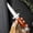 black, variant on Wood Handle Folding Pocket Utility Knife with 7Cr13 Stainless Steel Blade, Portable Edc Tool, Pocket Clip, Comfortable Grip for Outdoor Activities, Camping and Everyday Tasks
