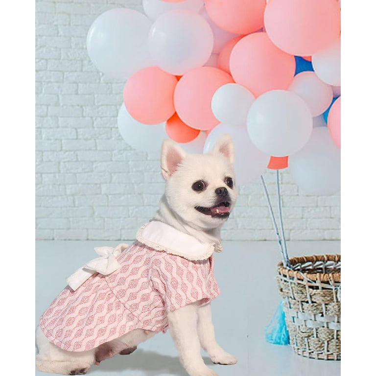 cute dogs in dresses Sweet Heart Dog Dress: Pink Cotton Eyelet Puppy Outfit