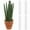 🔥 C_New, variant on ufehgfjh Plastic Moss Pole Plant Support For Climbing Plants Stackable Sphagnum Moss Column 11.2 in x 1.6 in Durable Climbing Support For Monstera And Vining Indoor Outdoor Plant Stakes