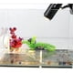 thumbnail image 4 of Tapete calentador de reptiles Calentador debajo del tanque con controlador de temperatura Xemadio WMZL-620-2, 4 of 7