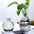 thumbnail image 4 of Modern Mini Flowers Vases Short Minimalist Aesthetic Home Decor Vintage Cute Handmade Glass Hydroponics Vase, 4 of 4