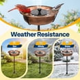 thumbnail image 6 of SPECSTAR Bird Bath with Solar Fountain for Outside, Weather-Resistant ABS Birdbath Bowl with Solar Powered Pump, Metal Ground Stake for Outdoor, Garden, 1.45 Gallons, Bronze, 6 of 7