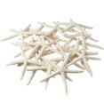 thumbnail image 1 of Starfish Decor Nautical Crush, paquete de 30 unidades, color blanco, 7,5 a 10 cm, manualidades, 1 of 9