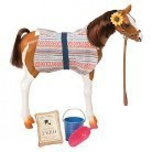 our generation pinto horse