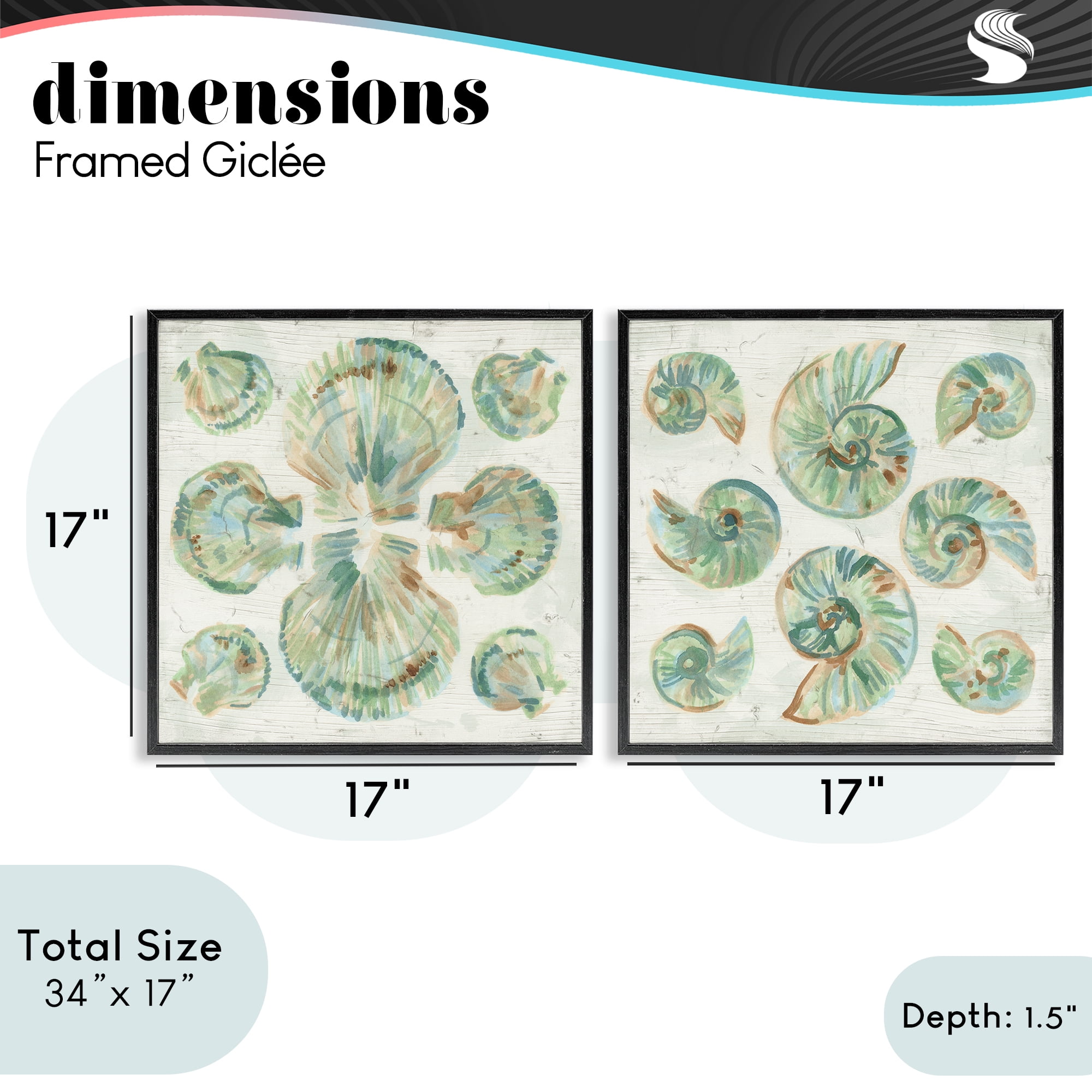 Stupell Industries Saltwashed Seashells Pattern 2 Piece Black Framed Giclee Art Set, design by June Erica Vess
