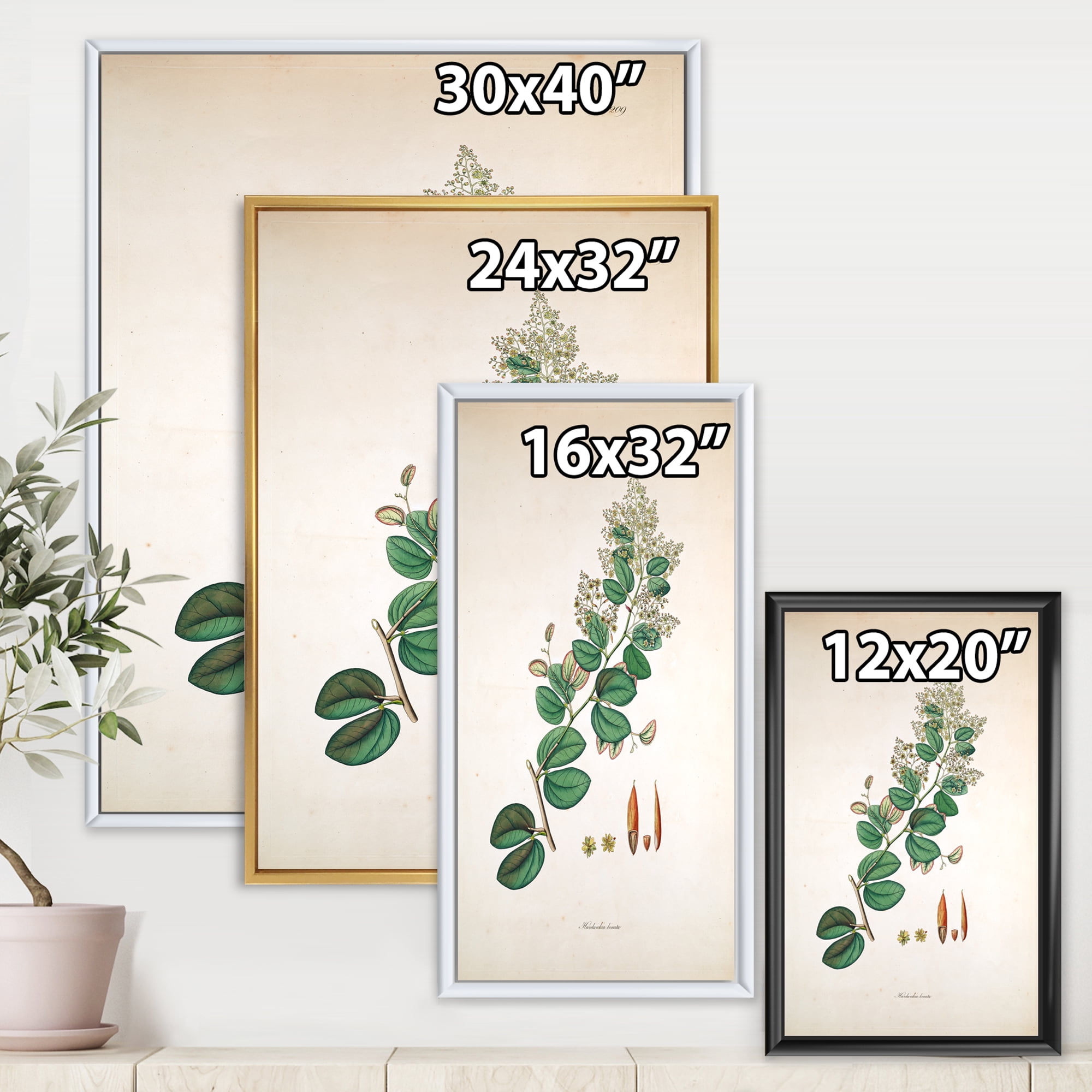 Designart 'Ancient Botanicals XIII' Farmhouse Framed Canvas Wall Art Print