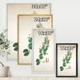 thumbnail image 4 of Designart 'Ancient Botanicals XIII' Farmhouse Framed Canvas Wall Art Print, 4 of 5