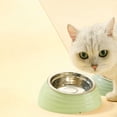 thumbnail image 1 of RKSTN Cat Bowls Pet Bowl Green, 1 of 5
