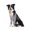 Black-White Stripes, variant on Dog Elbow Protector, Dog Front Leg Joint Recovery Sleeve with Mesh Pad, Cone Collar Alternative Dog Elbow Pads for Medium Large Dogs Black&White L
