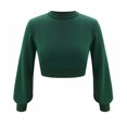 thumbnail image 1 of Fashion Casual Solid Color  Neck Short Style Long Sleeve Top For Ladies, 1 of 6