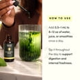 thumbnail image 5 of Black Girl Vitamins Liquid Chlorophyll Drops – Mulberry Leaf + Chlorophyllin with Peppermint, Vegan Liquid Concentrate, Supports Digestive Comfort & Healthy-Looking Skin (4-Month Supply), 5 of 6