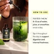 Black Girl Vitamins Liquid Chlorophyll Drops – Mulberry Leaf + Chlorophyllin with Peppermint, Vegan Liquid Concentrate, Supports Digestive Comfort & Healthy-Looking Skin (4-Month Supply)