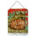 thumbnail image 1 of Carolines Treasures ASA2045DS1216 Fox Sleeping In The Snow Wall and Door Hanging Prints, 1 of 1