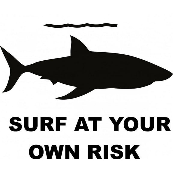 Surf At Your Own Risk Boys Room Teddy Bear Trains Dino Dinosaurs Tractor Mud Puddles Trucks Airplane Holiday Gift Decorating Ideas Girl Boy Bedroom Wall Decal Sticker - Size: 18 Inch x 21 Inch