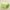 Green, variant on Jacenvly Christmas Decorations Indoor 120*200Cm Throw Blanket for Couch Fuzzy Soft Cozy Blanket 鈥?Lightweight Soft Plush Warm Cozy 鈥?Perfect for Bed Sofa Camping Travel Room Decor