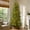7ft, variant on Goosiay 7 ft Pre-Lit Norfolk Pine Christmas Tree, PE Slim Artificial Tree with 300 Warm White & Multicolor 10-Function Lights, 6718 Branch Tips,Green