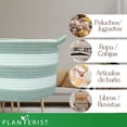 thumbnail image 4 of Planterist Cesta Organizadora Mediana Tejida – Algodón Lavable, Plegable y Portable – Multiusos 30x18.5 cm para Almacenaje, Decoración y Ropa Sucia (Santa Catarina), 4 of 9