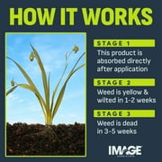 Image Kills Nutsedge Weed Killer Ready-to-Spray Herbicide, 32 oz.