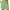 Mint Green, variant on QIPOPIQ Womens Drawstring Shorts Summer Elastic Waist Casual Lightweight with Pockets Clearance