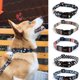 thumbnail image 3 of Collar para perros Rose and Poem, patrón de color, collar para perros duradero ajustable, 3 of 5