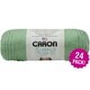 Caron Simply Soft Solids Yarn 24/Pk-Sage