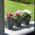 thumbnail image 5 of Root & Vessel Ella Square Planter, Black, 16", 5 of 5
