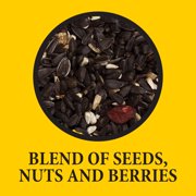 Wild Delight Advanced Formula Songbird Wild Bird Food 8 lb