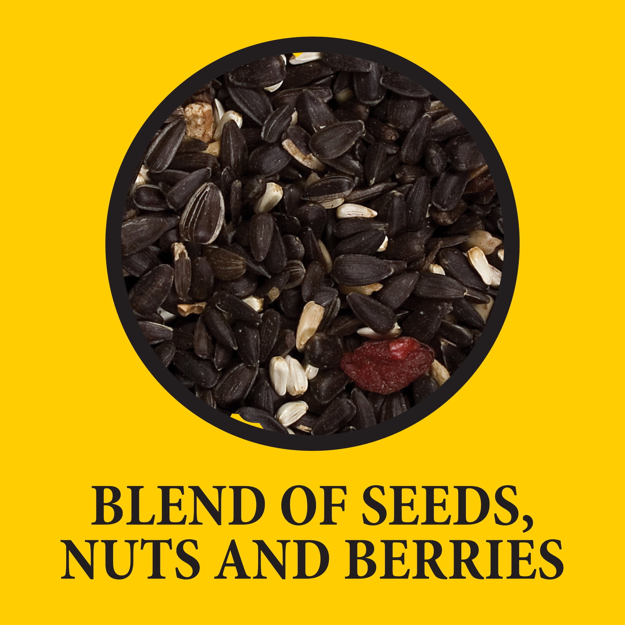 Wild Delight Advanced Formula Songbird Wild Bird Food 20 lb
