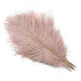 thumbnail image 3 of 10 plumas de avestruz grandes de 15 a 60 cm, plumas de avestruz blancas, centros de mesa de carnaval, accesorios de decoración para fiestas y bodas, 3 of 5
